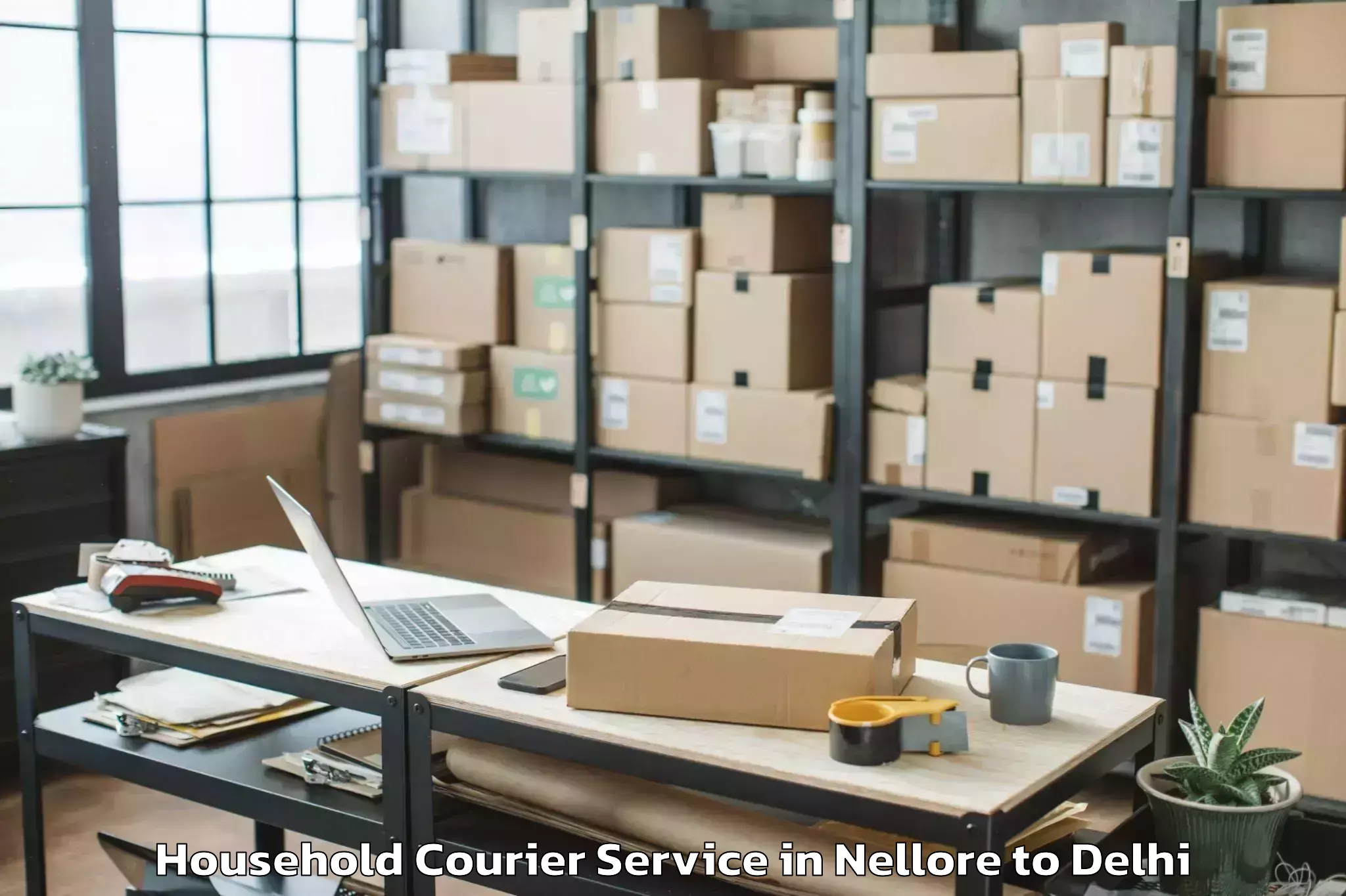 Quality Nellore to Ambience Mall Rohini Household Courier